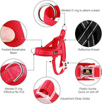 Plutus Pet No Pull Dog Harness with Breathable Mesh Padded, Adjustable Reflective Escape Proof Dog Harness, Quick Fit Dog Vest Harness for Small Medium Large Dogs(S, Red)
