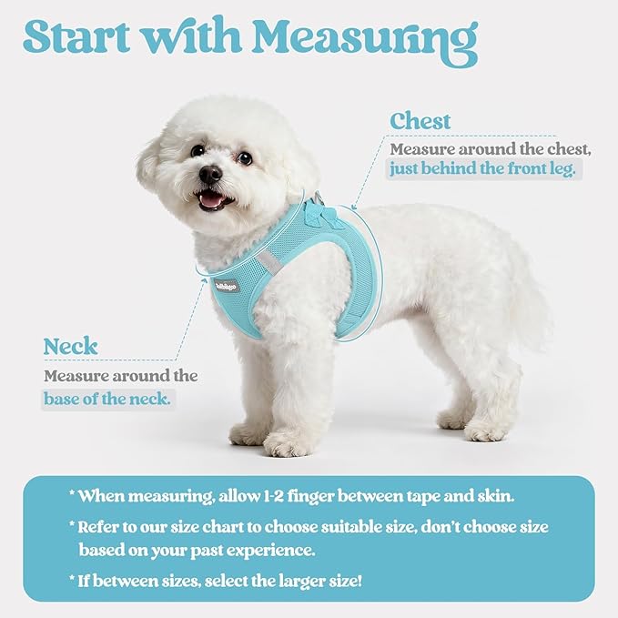 rabbitgoo Dog Harness Small Medium Sized and Leash Set, Step in Soft Light Puppy Vest, Breathable Mesh Pet Harness, Reflective for Safe Easy Walking, Mint Blue L