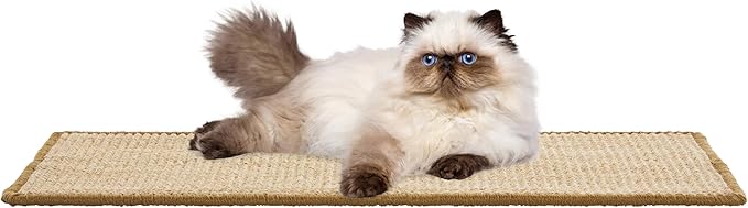 SAFAVIEH Cat Scratch Mat Pad Collection, 10" x 24", Natural Brown, Sisal Boucle Weave, Velcro & Slip Resistant Backing