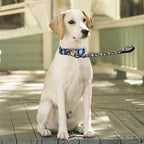 Martingale Collar and Leash Set, Premium No Slip Martingale Collar for Dogs Medium Large, Girl Dog Collars Training (NO20, L)