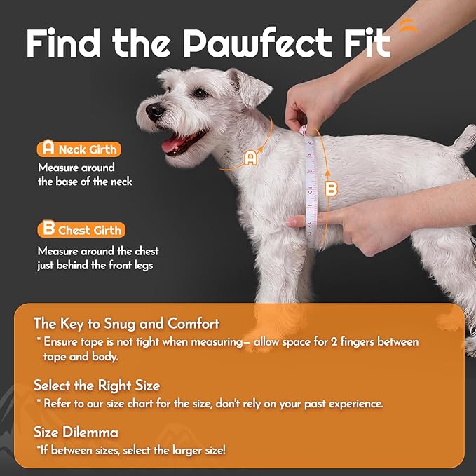 Eagloo Small Dog Harness and Leash Set, Step in Puppy Vest with Breathable Soft Mesh, Walking Reflective Pet Harness for Medium Small Dogs, Black, L