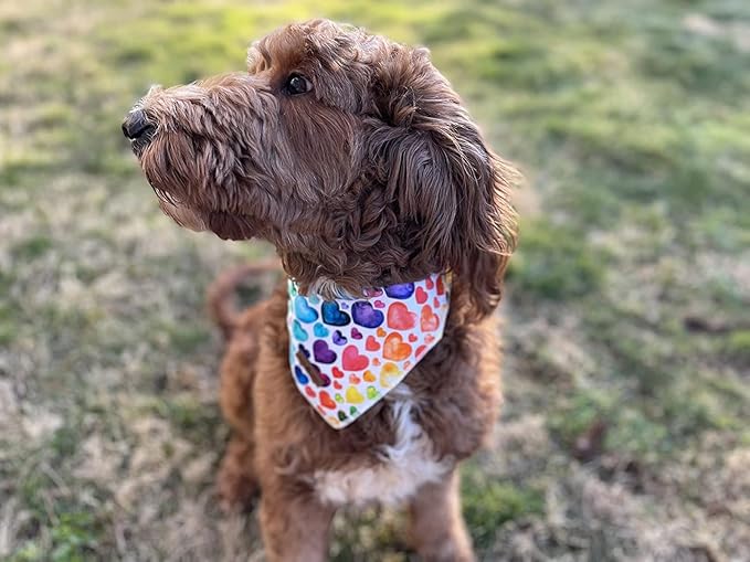 Lionet Paws Valentine's Dog Bandana,Fabric Love Dogs Kerchief for Small Medium Dogs,Dog Triangle Cotton Scarf for Girl Boy