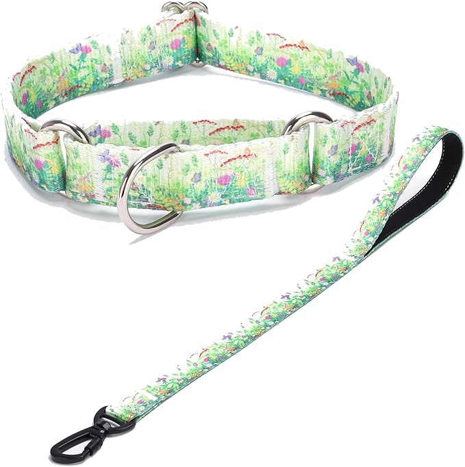 Martingale Collar and Leash Set, Premium No Slip Martingale Collar for Dogs Medium Large, Girl Dog Collars Training (NO31, L)