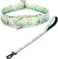 Martingale Collar and Leash Set, Premium No Slip Martingale Collar for Dogs Medium Large, Girl Dog Collars Training (NO31, M)