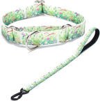 Martingale Collar and Leash Set, Premium No Slip Martingale Collar for Dogs Medium Large, Girl Dog Collars Training (NO31, M)