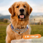 Choker Martingale Collar for Dog, No Pull Slip Chain Collar Training Escape Proof Heavy Duty Dog Collar for Extra Large Medium Large Pet Girl Female Dogs, Purple Floral L