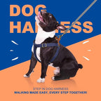 Didog Step in Dog Harness with Metal Buckles, Freedom Nylon Dog Halter Vests for Medium Dogs Easy Walking Training(M:Chest 19-28", Dark Blue)