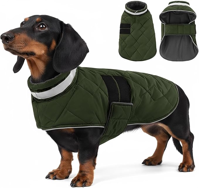 KAMA BRIDAL Dog Winter Coat Warm Padded Puppy Jacket Windproof Water Resistant Clothes for Small Medium Large Pets Christmas Sweater Outfit Vest(Green, S)