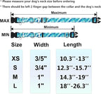 Reflective Martingale Collar with Buckle Adjustable Nylon Training Pet Collars for Extra Small Dogs (Turquoise Shell, XS)