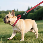 Martingale Collar for Dogs with Quick Release Buckle, Reflective Soft Padded & Escape Proof, Adjustable Nylon Dog Collars for Training & Daily Walking (Red,S)