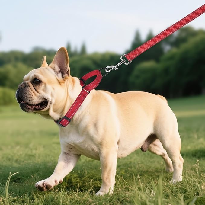 Martingale Collar for Dogs with Quick Release Buckle, Reflective Soft Padded & Escape Proof, Adjustable Nylon Dog Collars for Training & Daily Walking (Red,S)