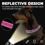 Martingale Collar for Dogs,Reflective Martingale Dog Collars with Quick Release Buckle,Adjustable Nylon No Pull Dog Collar for Walking Training (Red, Extra Large)