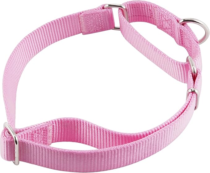 Hyhug Martingale Collar for Dogs Large Pink |Escape - Proof Heavy Duty Nylon Durable No Pull, Ideal for Training & Daily Walks