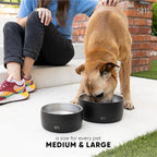 Simple Modern Stainless Steel Pet Water Bowl for Dogs & Cats | Reusable Insulated Stainless Steel Food Bowls for Dog Cat | No Tip No Slip BPA Free | Bentley Collection | Large (64oz) | Blush