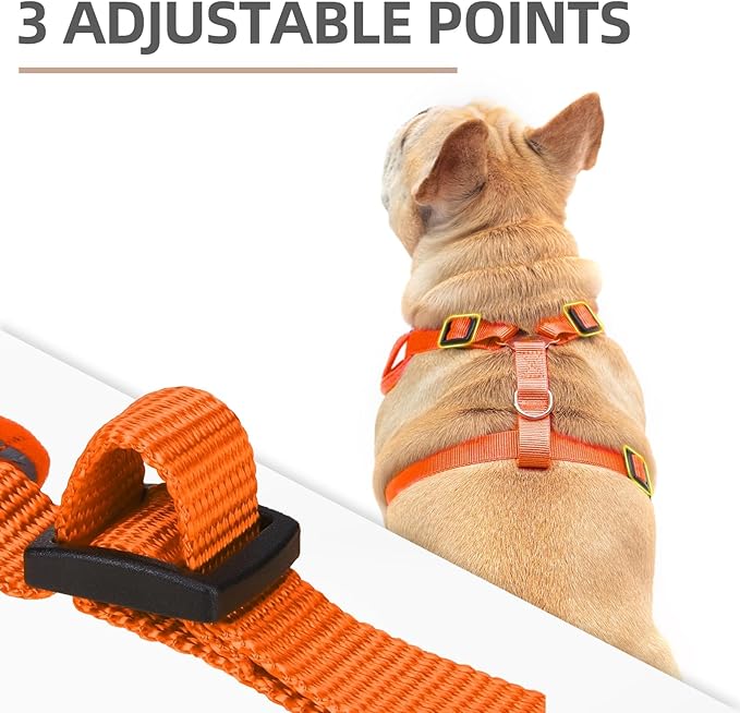 PUPTECK Small Dog Harness and Leash Set, No Pull Adjustable Puppy Cat Harness, Reflective Soft Mesh Pet Vest Small Sized, Orange, XS