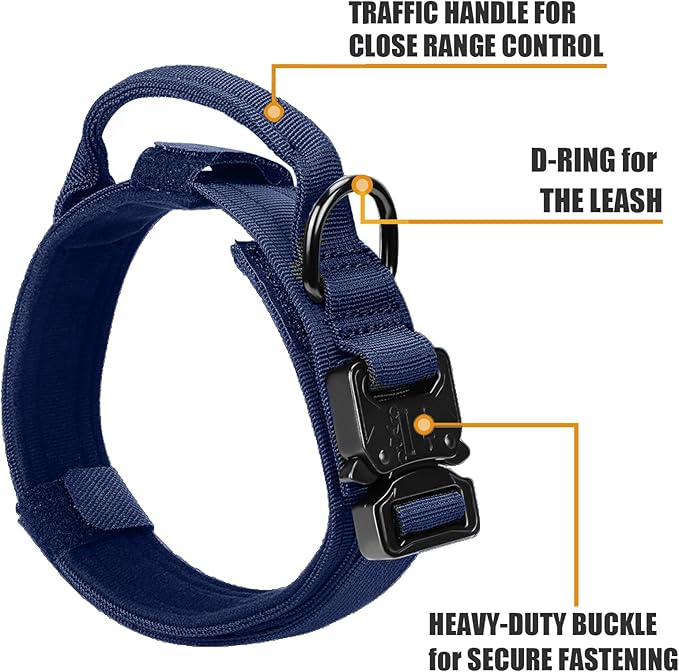 Tactical Nylon Dog Collar - Heavy Duty Metal Buckle with Handle for Dog Training, with Patches (Blue, L)