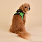Puppia Soft Vest Harness B II - Green - XXL (Pack of 2)
