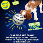 Wobble Wag Giggle Glow in the Dark | Rolling Enrichment Toy for Playtime, Interactive Play for Indoor or Outdoor, Keeps Dogs & Puppies Large, Medium or Small Busy & Moving, As Seen on TV | Pack of 1