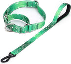 Martingale Collar and Leash Set, Premium No Slip Martingale Collar for Dogs Medium Large, Girl Dog Collars Training (NO3, L)
