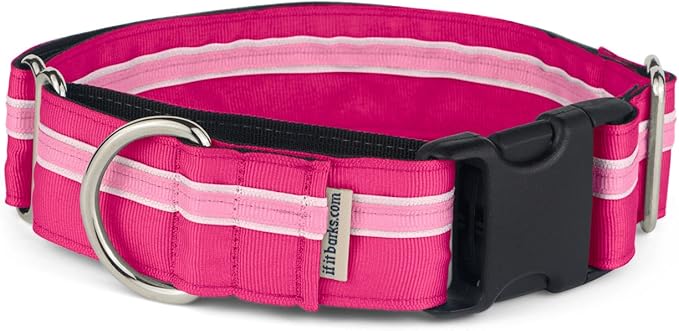 If It Barks - 1.5" Martingale Collar for Dogs - Quick Snap Release Buckle - Adjustable - Nylon - Strong and Comfy - Ideal for Training - Made in USA - Small, Bubble Gum