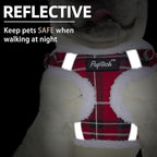 PUPTECK Dog Harness and Leash Set Small Sized, Step in No Pull Adjustable Puppy Cat Harness Reflective Pet Vest