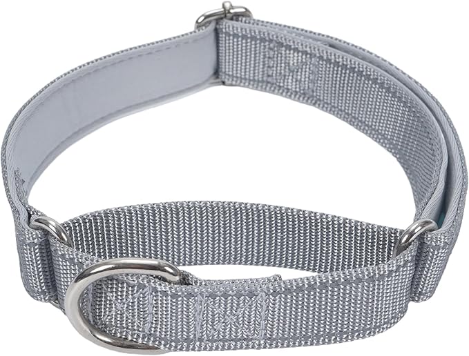 SGODA Martingale Dog Collar, Reflective Nylon Padded Dog Training Collars for Small Dogs, Grey S