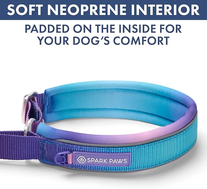 Spark Paws Martingale Dog Collar – Cushioned Slip-On Training Collar, Heavy Duty, Safety-Tested No-Buckle Collar for Medium & Large Dogs - 90s Retro - D