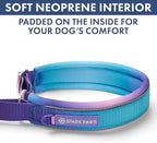 Spark Paws Martingale Dog Collar – Cushioned Slip-On Training Collar, Heavy Duty, Safety-Tested No-Buckle Collar for Medium & Large Dogs - 90s Retro - C