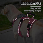 PUPTECK Escape Proof Dog Harness and Leash Set Upgraded No Pull Reflective Dog Vest with Lift Handle, Easy Control Pet Harness for Medium Large Dogs Training Walking Running, Fuchsia, L