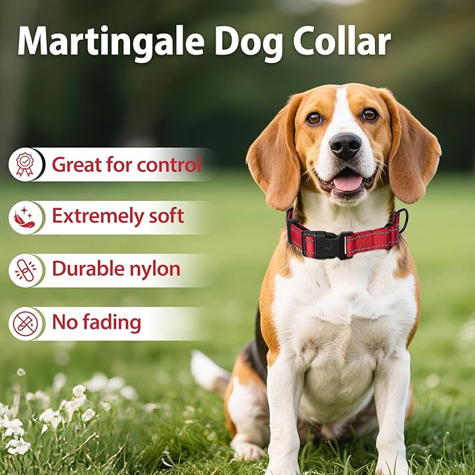 Martingale Collar for Dogs with Quick Release Buckle, Reflective Soft Padded & Escape Proof, Adjustable Nylon Dog Collars for Training & Daily Walking (Red,L)