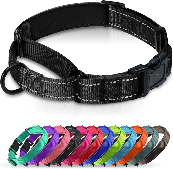 Martingale Collar for Dogs with Quick Release Buckle, Reflective Soft Padded & Escape Proof, Adjustable Nylon Dog Collars for Training & Daily Walking (Black,M)