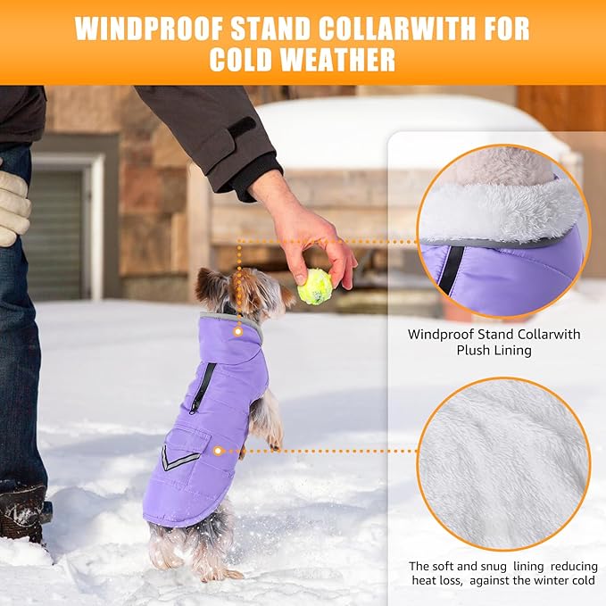 iBuddy Dog Winter Coat for Extra Small Dogs, Easy on XS Dog Snow Jacket Velcro Waterproof Pet Puffer Clothes with Harness Hole Adjustable Reflective Quilted Dog Cold Weather Vest for Girl 8-12 Pounds