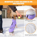 iBuddy Dog Winter Coat for Extra Small Dogs, Easy on XS Dog Snow Jacket Velcro Waterproof Pet Puffer Clothes with Harness Hole Adjustable Reflective Quilted Dog Cold Weather Vest for Girl 8-12 Pounds