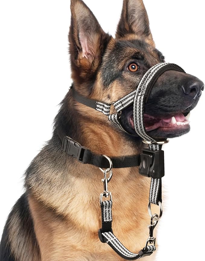 BARKLESS No Pull Dog Head Collar for Gentle Training Walking, Soft Padded Head Halter with Collar Safety Clip, Comfortable Fit Muzzle Leash with Reflective Strap for Medium Large Dog (Grey, M)