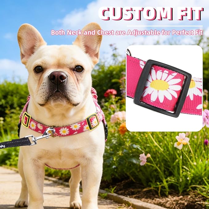 PUPTECK No Pull Dog Harness Small Sized Dog, Adjustable Reflective Pet Vest Harness with Bungee Handle, Escape Proof No Choke Harness for Small Dogs Walking Training, Fuschia Daisy S