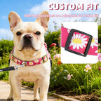 PUPTECK No Pull Dog Harness Small Sized Dog, Adjustable Reflective Pet Vest Harness with Bungee Handle, Escape Proof No Choke Harness for Small Dogs Walking Training, Fuschia Daisy M