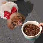 Sweejar Ceramic Dog Bowls, Dog Food Dish for Small Dogs and Cat, Heavy Duty Porcelain Pet Bowl for Canned Food and Water 17 Fl Oz （Gray）