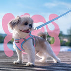 rabbitgoo Dog Harness Small Sized and Leash Set, Step-in Breathable Pet Harness, Soft Walking Reflective Puppy Vest for Small Dogs, Pink & Light Blue, S
