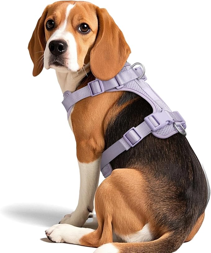 Wisedog Dog Harness Medium Sized, Pet Vest with Front Clip, Adjustable Puppy Harness with 3 Fast Release Buckles[Easy to Put on & Take Off] (Lilac, S)