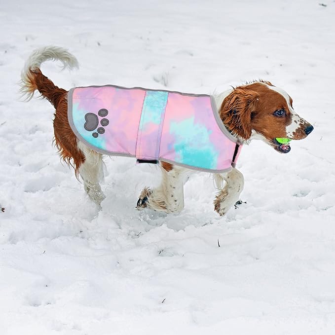 Queenmore Dog Winter Coat, Cold Weather Fleece Jacket for Dogs, Waterproof Reflective Reversible, for Small, Medium and Large Dogs (Tie-Dye, L)