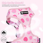 Dog Harness and Leash Set, Adjustable Dog Harness, Dog Leash, No Pull No Choke Puppy Harnesses for Walking Training for Small Medium Pet (Strawberries, XS(Chest 9.9-13.5", Neck 7.8-10.2"))