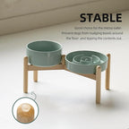Ceramic 1.2 Cup Raised Slow Feeder Dog Bowl Set, Elevated 6.1inch Bowl and 7.3inch Puzzle Slow Food Dish with Wooden Stand for Medium and Small Dog, Anti-Gulping (2 x Light Green+ Stand)