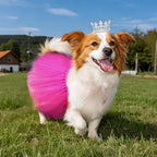 2 Pcs Dog Tutu Dress with Pearl Crown for Small Medium Pet Cat Dog Halloween Costume Dress for Ballet Birthday Party Wedding Photo Prop