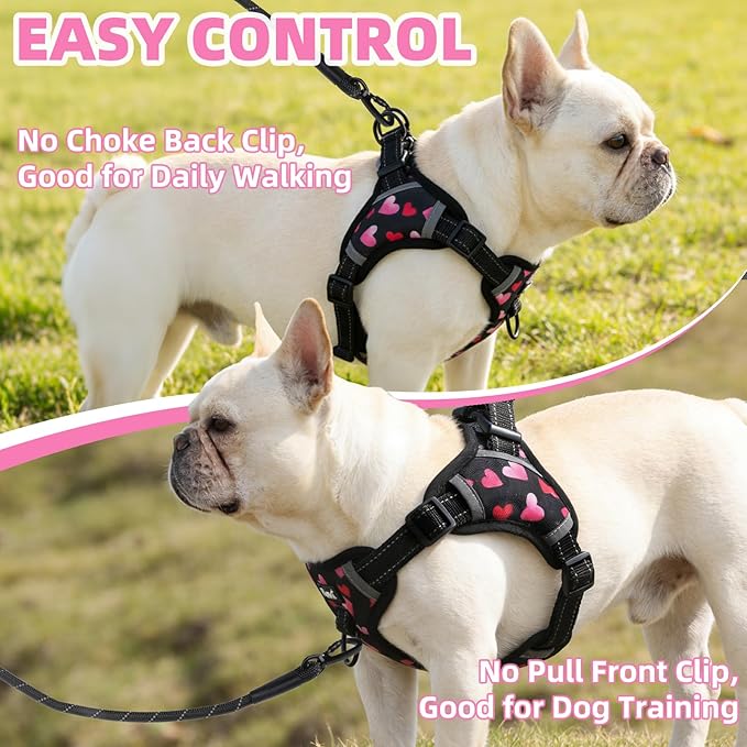 PUPTECK No Pull Dog Harness Small Sized Dog, Adjustable Reflective Escape Proof Easy Control, Comfortable Soft Padded Step in Pet Vest Harness, Heart, S