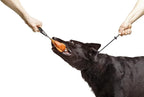 Dingo Gear Choke Collar for Dog Training Handmade of Cord with A Limiter, Waterproof Black S04059, (M)