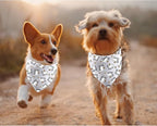 JXGZSO 1 Piece Silly Goose Triangle Dog Bandana Meme Goose Duck Merchandise (Silly Goose Dog)