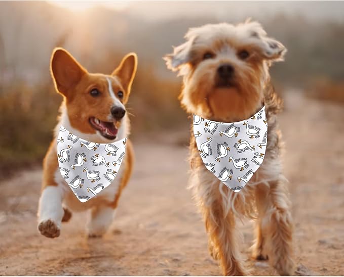 JXGZSO 1 Piece Silly Goose Triangle Dog Bandana Meme Goose Duck Merchandise (Silly Goose Dog)