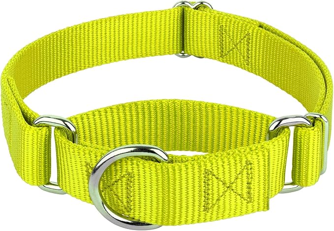 Country Brook Petz - Martingale Dog Collar - Heavy-Duty Training Collar with No Buckle - Service Dog Collar for All Pups - 10+ Warm Colors (Hot Yellow, 3/8 Inch, 2XS)