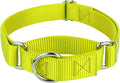 Country Brook Petz - Martingale Dog Collar - Heavy-Duty Training Collar with No Buckle - Service Dog Collar for All Pups - 10+ Warm Colors (Hot Yellow, 3/4 Inch, Small)