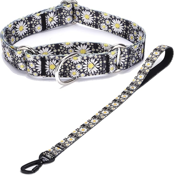 Martingale Collar and Leash Set, Premium No Slip Martingale Collar for Dogs Medium Large, Girl Dog Collars Training (NO32, L)